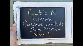Exotic N - Western Cascade Foothills