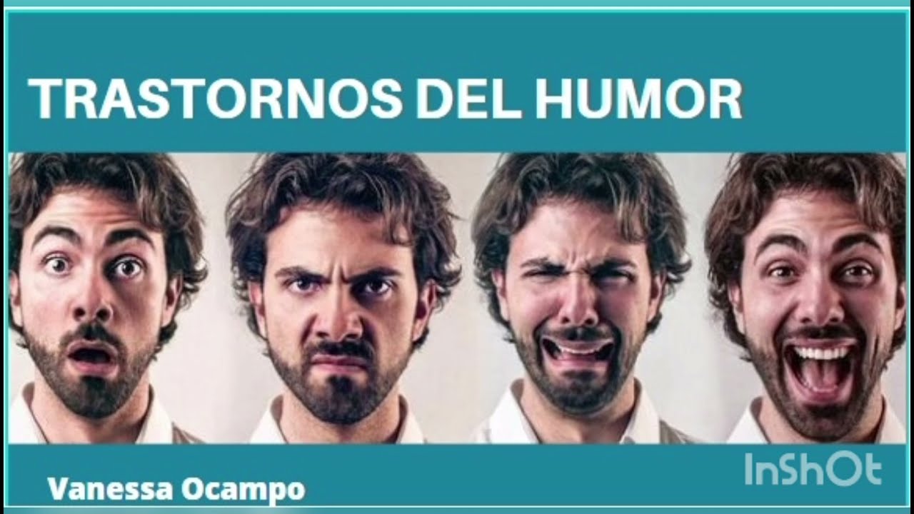 Video De Humor Gratis