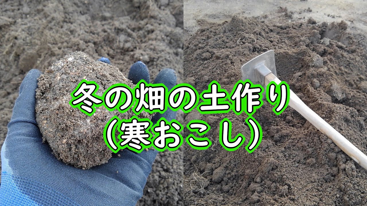 畑土作り 初心者 – 畑 土作り 順番 – CJDJDC