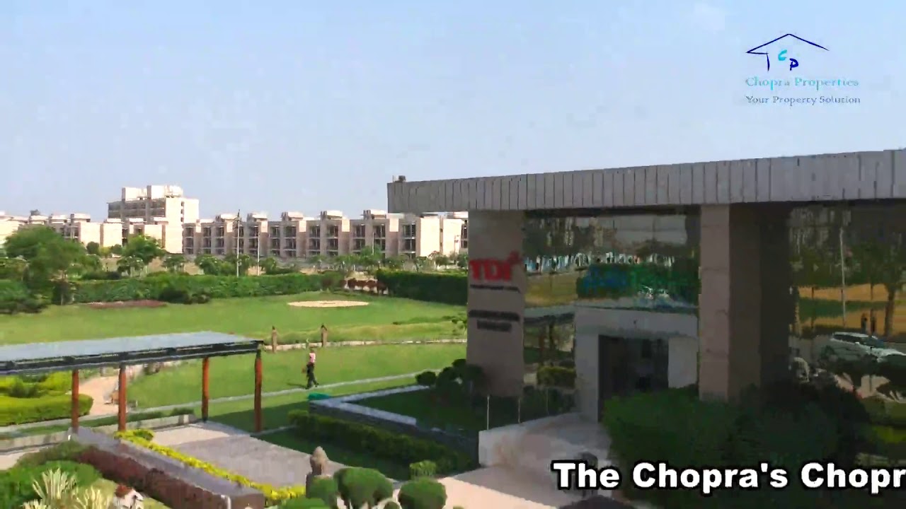 TDI Lake Grove City Kundli YouTube