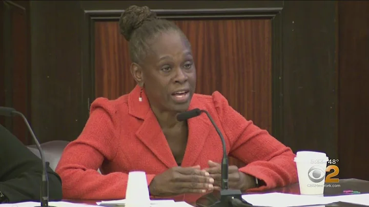 NYC First Lady Grilled Over Mental Health Program