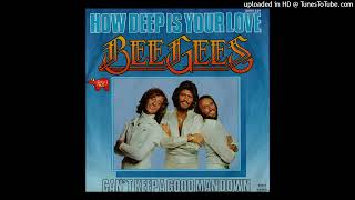 Bee Gees - How deep is your love [1977] [instrumental]