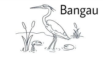 Bangau Youtube
