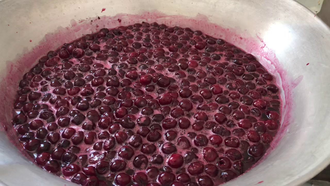 зазеленела трава, время варить кукурузу, ласточки, японская акация...???? ...