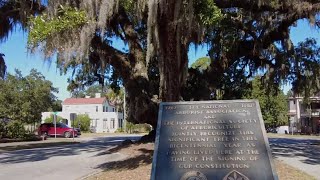 Hidden Gem in the Golden Isles: Lover's Oak