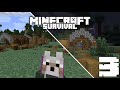 MADEN GİRİŞİ VE HAYVAN ÇİFTLİKLERİ -Minecraft Survival- Bölüm 3