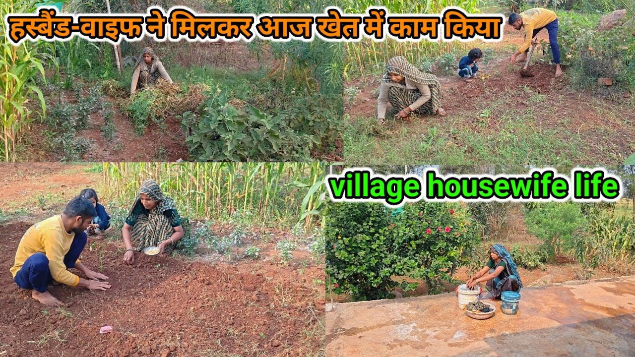 हस्बैंड-वाइफ ने मिलकर आज खेत में काम किया🤷 village housewife life#villagerlifestyle 