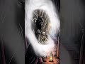 Topkapı Sarayı’nın En Korkulan Gücü: Kara Ağalar🍀🌙