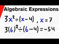 Algebraic Expressions and How to Evaluate Them | College Algebra