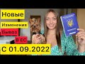 Вывоз ЖИВОТНЫХ заграницу! Документы,ОСТОРОЖНО РАЗВОД НА ДЕНЬГИ 💰Личный опыт