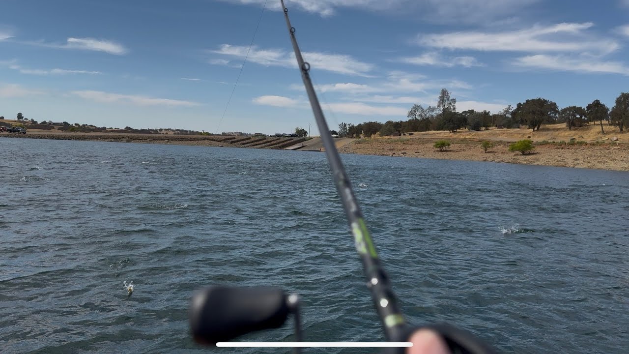 New hogan lake (Still on fire or bust now?!)