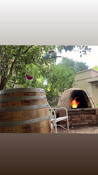 Elevación | Elevation #tendencias2024 #visitargentina #mendoza #vacationready #now #vines #book
