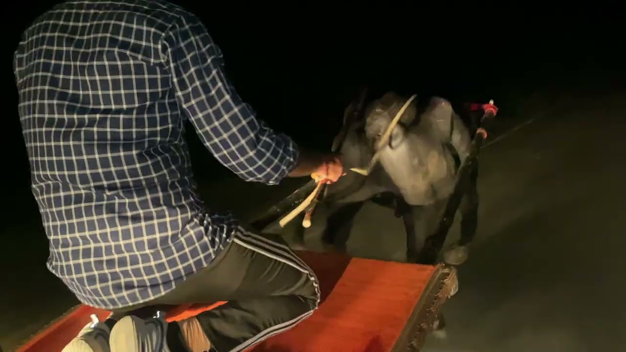 निखिल राजपुर का बहाढ़ झोटा। तिसंग मेले से राजपुर तक 3km की दूरी बहुत तड़के टाइम में पार की 