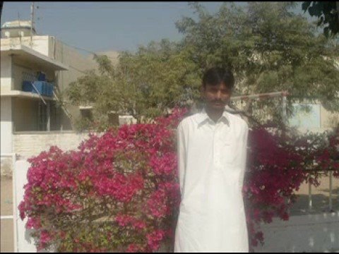 Shahzad Shaikh Photo 35