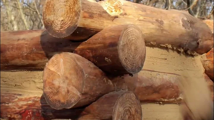 Building a Survival Cabin with Chimney Fireplace, Wooden Roof in the Wilderness. #camping #Outdoors