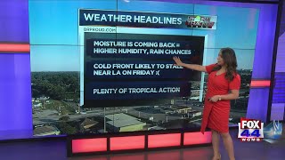 StormTracker Forecast (Sept 7, 2020)