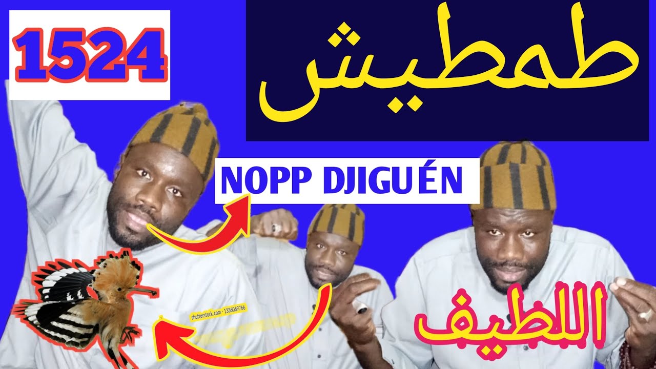 🛑🚨 BILAHI SERIGNE HABIB SÉCK KÉÉMANN WAKHNA  LOU GRAVES.. KARANGUÉ koula DAURR  DOUKO