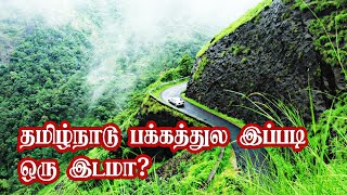 Disappointment Trip to Vagamon? | Kerala