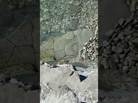 Дикий пляж «Сосновка»