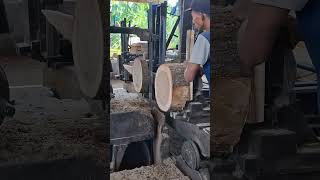 Unreal Wood Cutting — Satisfying Trembesi Round Sawmill Process You’ve Never Seen Before 🌳🔥