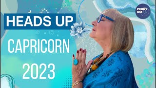 CAPRICORN 2023 - THE ULTIMATE OVERVIEW 2023 with Penny Dix