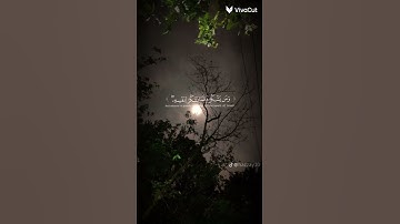 القرآن الكريم الشيخ ياسر الدوسري #استغفر_الله