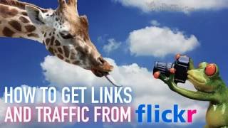 Flickr #TrafficHack: How to Get Traffic and Links from Flickr