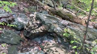 Mount Tammany (Red Dot to Blue Trail Loop) Virtual Hike