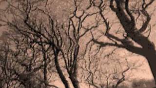 Video thumbnail of "Cocteau Twins - Blind Dumb Deaf ( Album Version)"