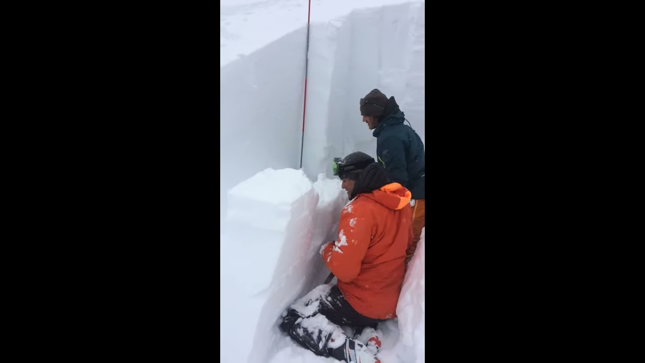 Ski Rack – Thule SnowPack