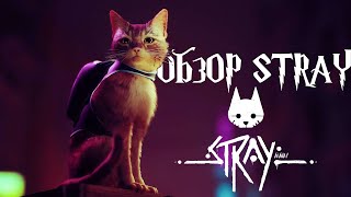 STRAY | КРАТКИЙ ОБЗОР ИГРЫ И СЮЖЕТА