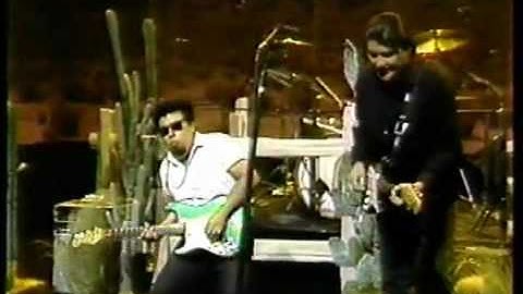 Thumbnail of Los Lobos met 'La Bamba' (live)