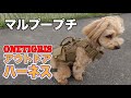 マルプープチ　アウトドア用のハーネス装着したら固まった
