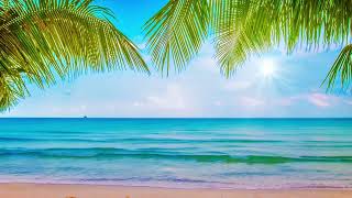 Study with palm trees and soft beach waves  ASMR screenshot 5