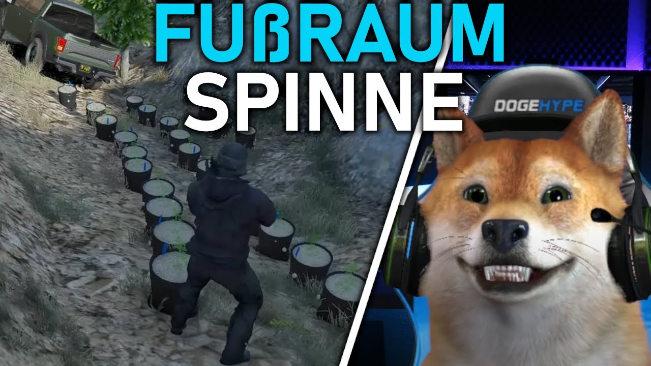 FUßRAUMSPINNE IST ZURÜCK/ RLO 2.0/ CSYON STREAM HIGHLIGHT