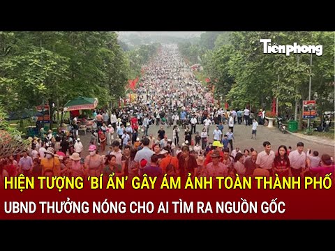 Bản tin thời sự: Hiện tượng lạ ‘bí ẩn’ gây ám ảnh toàn thành phố, Chủ tịch UBND thông tin nóng