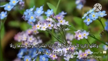 تلاوة رآئعه للقارئ : أبو وهبان عمر بن عزي الوصابي. ماتيسر من آل عمران.