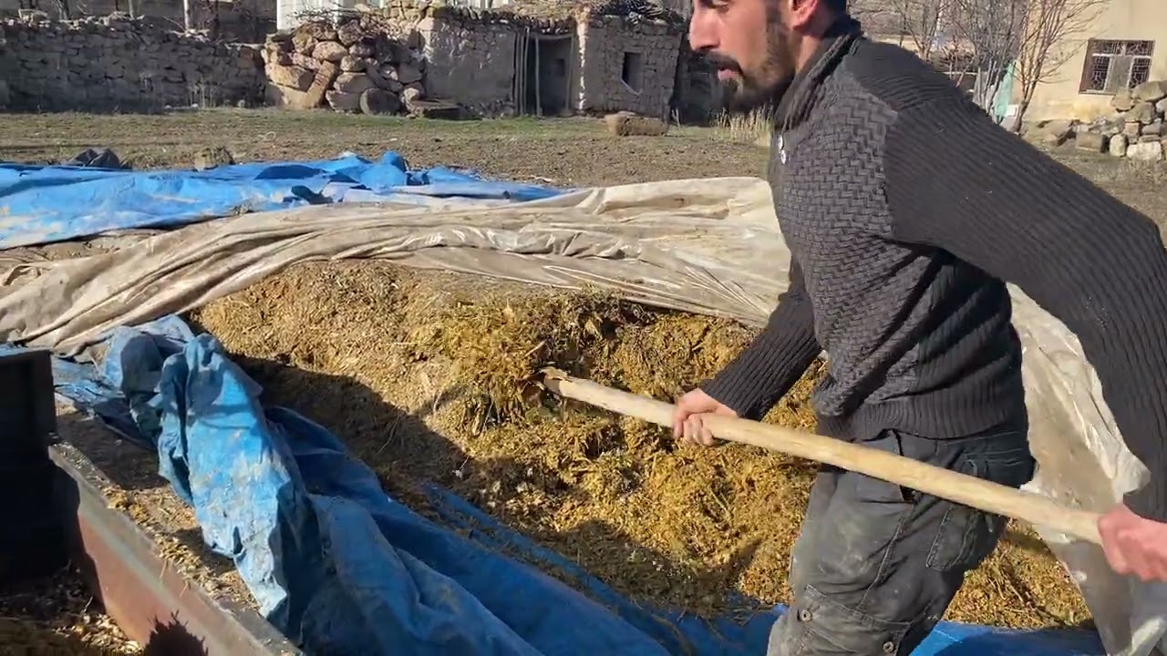 Bugün arkadaşla hayvanlara küsme gettirdik  kazalı motarla