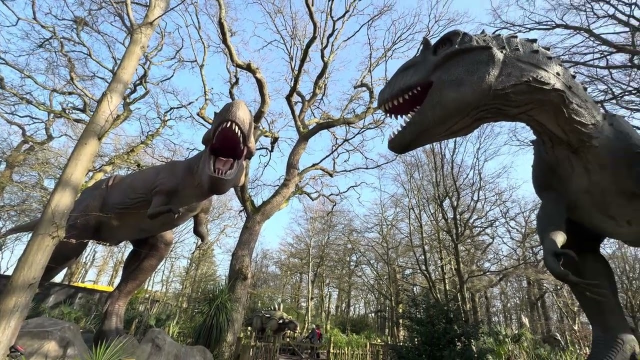 Hartfordshire zoo make sure you go unbelievable brilliant day 😎￼￼