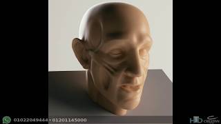 07 Vray Skin Material