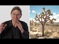 Biologist Answers Even More Biology Questions From Twitter | Tech Support | WIRED