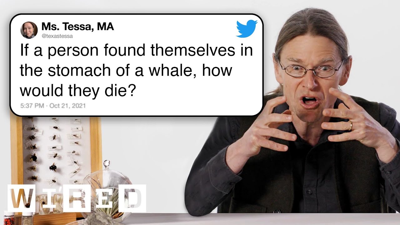 Biologist Answers Even More Biology Questions From Twitter | Tech Support 