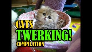 Is This The Cutest Thing Ever Or What