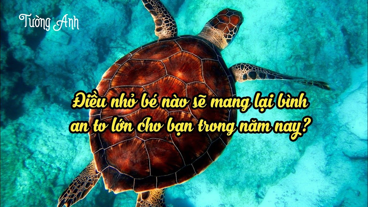 ĐIỀU NHỎ BÉ NÀO SẼ MANG LẠI BÌNH AN TO LỚN CHO BẠN TRONG NĂM NAY? 🌿(Chọn tụ & Timeless)