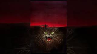 The Pet Sematary - Chapter 1