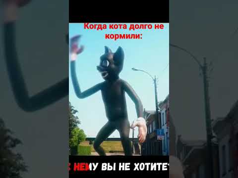 Когда Кота Долго Не Кормили: