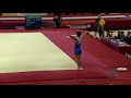 Srbic tin cro  2018 artistic worlds doha qat  qualifications floor exercise