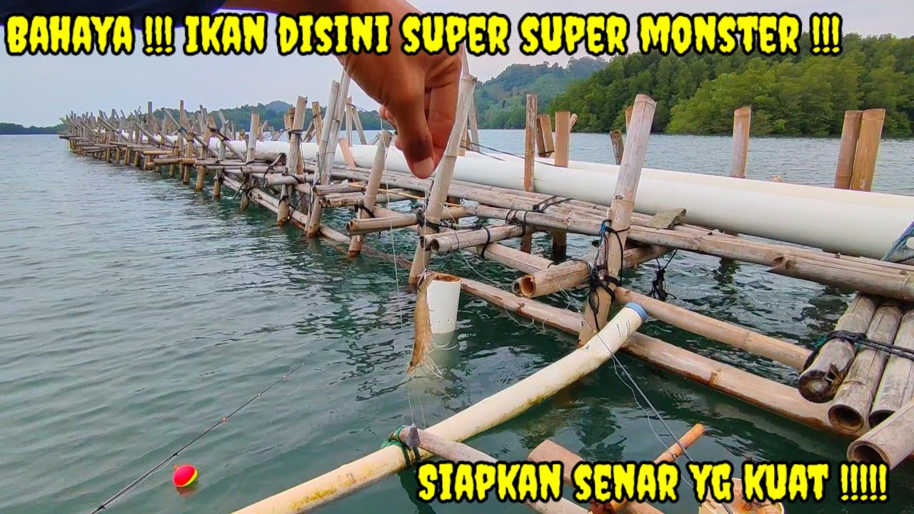 Hati Hati Ikan Kakap Disini Super Monster !! Mancing Kakap Putih Dipinggiran Laut Lampung