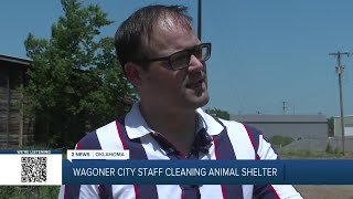 Wagoner city not satisfied with animal shelter clean-up