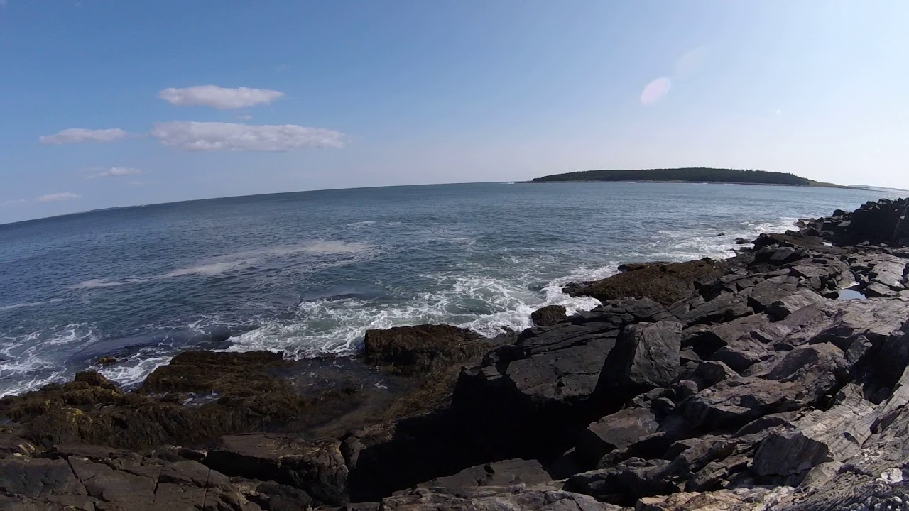 Mosquito Head Part 1